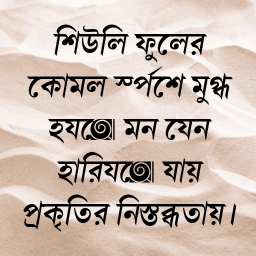 শিউলি ফুলের কোমল স্পর্শে মুগ্ধ হয়ে মন যেন হারিয়ে যায় প্রকৃতির নিস্তব্ধতায়।