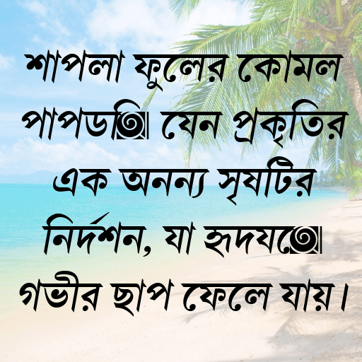 শাপলা ফুলের কোমল পাপড়ি যেন প্রকৃতির এক অনন্য সৃষ্টির নিদর্শন, যা হৃদয়ে গভীর ছাপ ফেলে যায়।