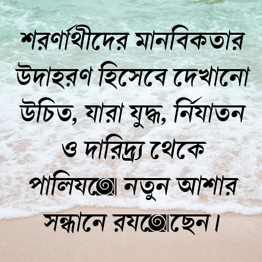শরণার্থীদের মানবিকতার উদাহরণ হিসেবে দেখানো উচিত, যারা যুদ্ধ, নির্যাতন ও দারিদ্র্য থেকে পালিয়ে নতুন আশার সন্ধানে রয়েছেন।