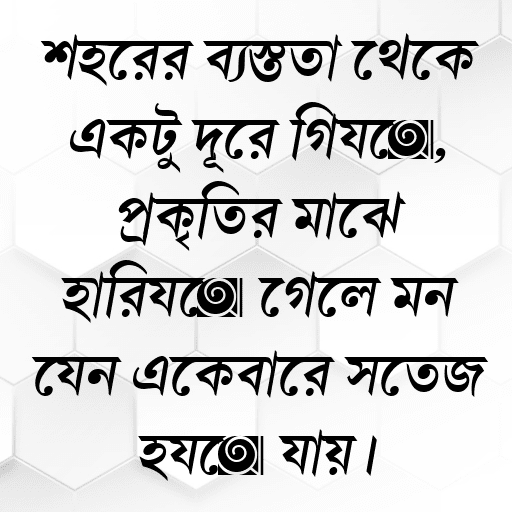 শহরের ব্যস্ততা থেকে একটু দূরে গিয়ে, প্রকৃতির মাঝে হারিয়ে গেলে মন যেন একেবারে সতেজ হয়ে যায়।