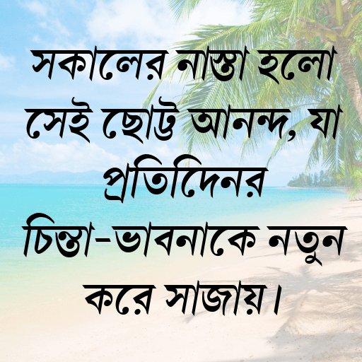 সকালের নাস্তা হলো সেই ছোট্ট আনন্দ, যা প্রতিদিনের চিন্তা-ভাবনাকে নতুন করে সাজায়।