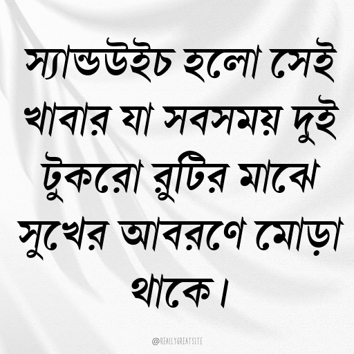 স্যান্ডউইচ হলো সেই খাবার যা সবসময় দুই টুকরো রুটির মাঝে সুখের আবরণে মোড়া থাকে।