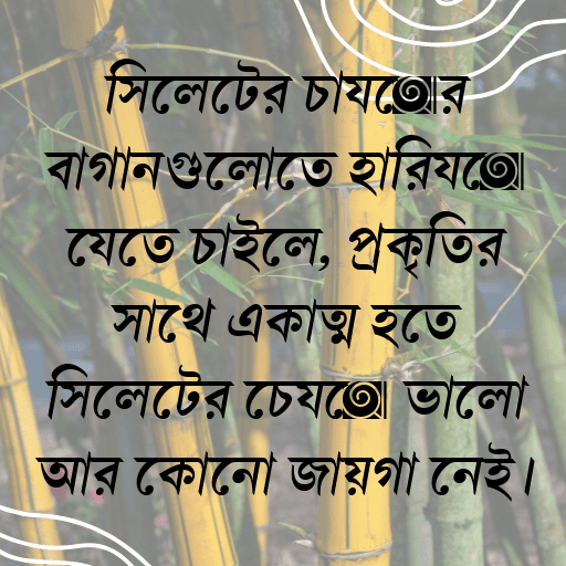 সিলেটের চায়ের বাগানগুলোতে হারিয়ে যেতে চাইলে, প্রকৃতির সাথে একাত্ম হতে সিলেটের চেয়ে ভালো আর কোনো জায়গা নেই।