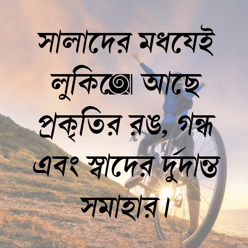 সালাদের মধ্যেই লুকিয়ে আছে প্রকৃতির রঙ, গন্ধ এবং স্বাদের দুর্দান্ত সমাহার।